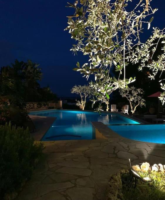 Apartment Luxury 4 Bedrooms In Cannes