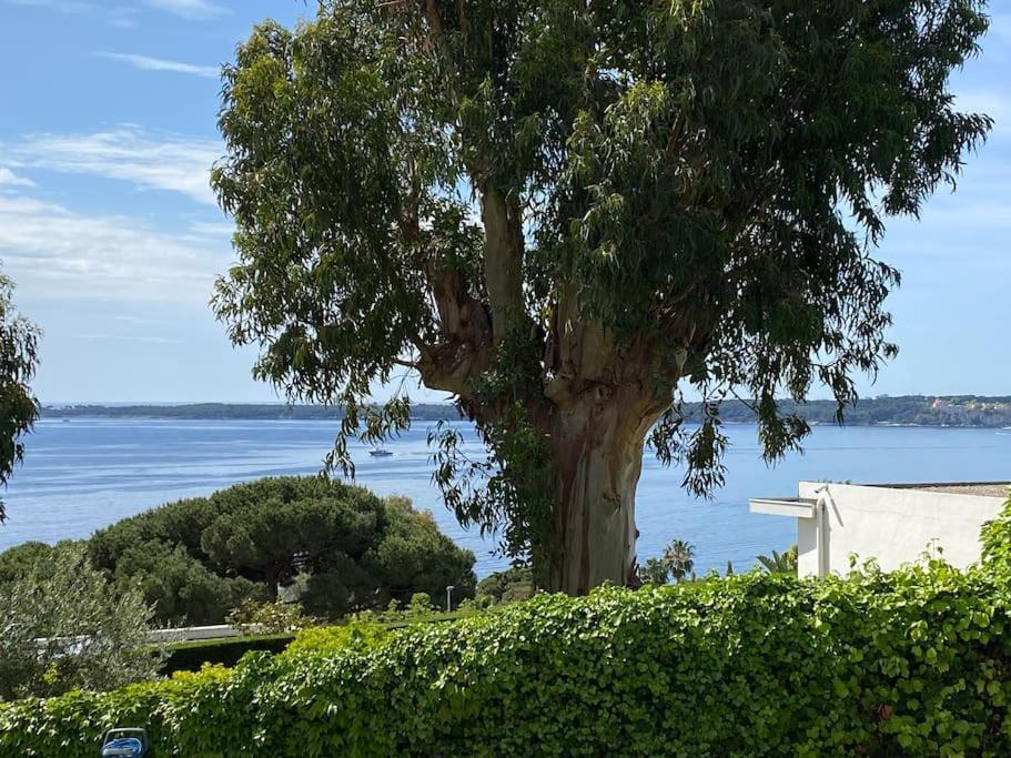 Luxury 4 Bedrooms In * Cannes