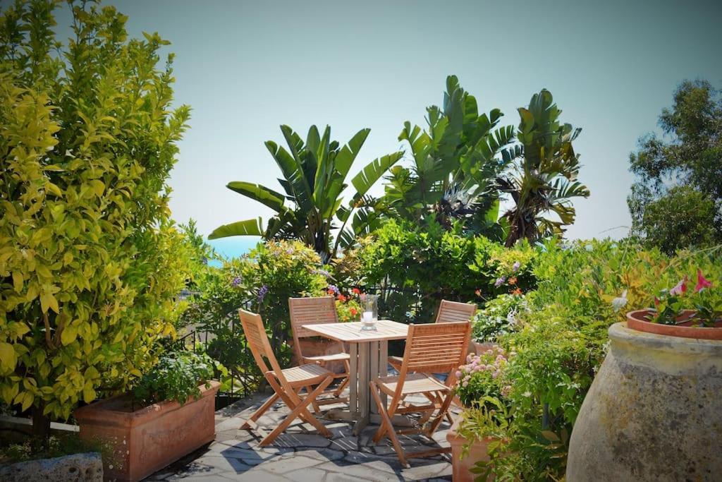 Luxury 4 Bedrooms In Appartement Cannes