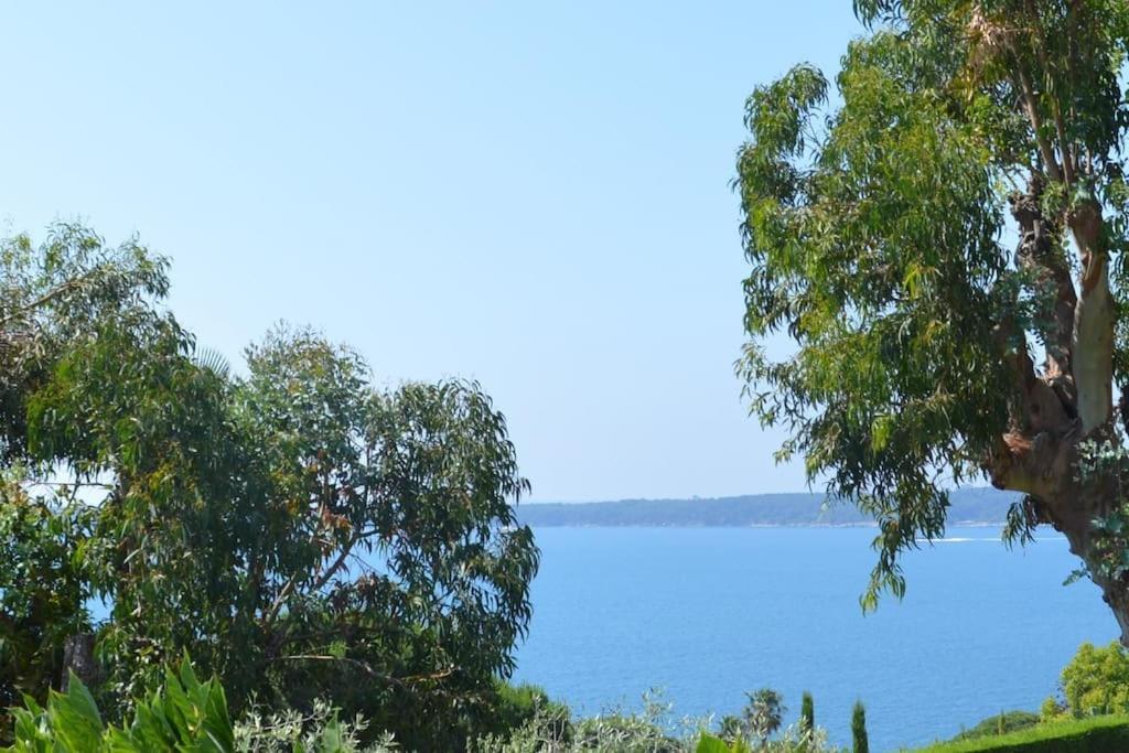 Luxury 4 Bedrooms In * Cannes